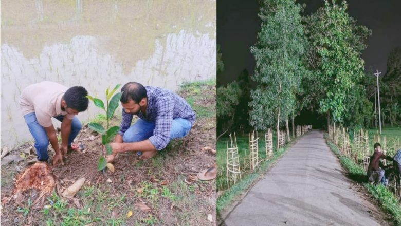আবুরহাটে দূরন্ত ক্লাবের উদ্যােগে দিনব্যাপী বৃক্ষরোপন কর্মসূচী