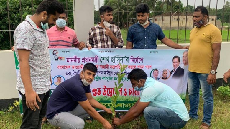 মীরসরাই পৌর যুবলীগের উদ্যোগে বৃক্ষরোপন