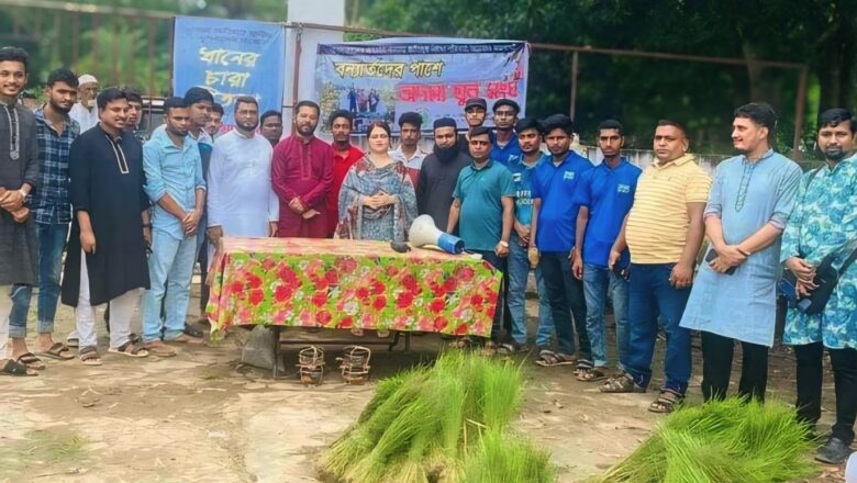 মীরসরাইয়ে বন্যার্ত কৃষকদের বিনামূল্যে ধানের চারা ও সার বিতরণ