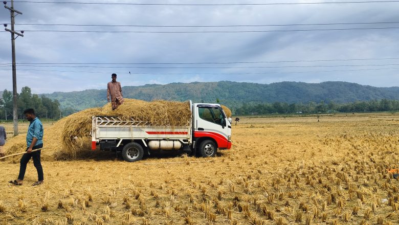 খড়ে ও এখন কৃষকদের বাড়তি আয়।