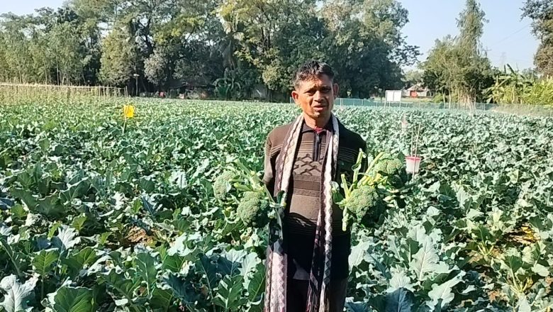 ব্রুকলি চাষ করে লাখ টাকা আয় করলো আমবাড়িয়ার কৃষক বিপ্লব সিংহ।
